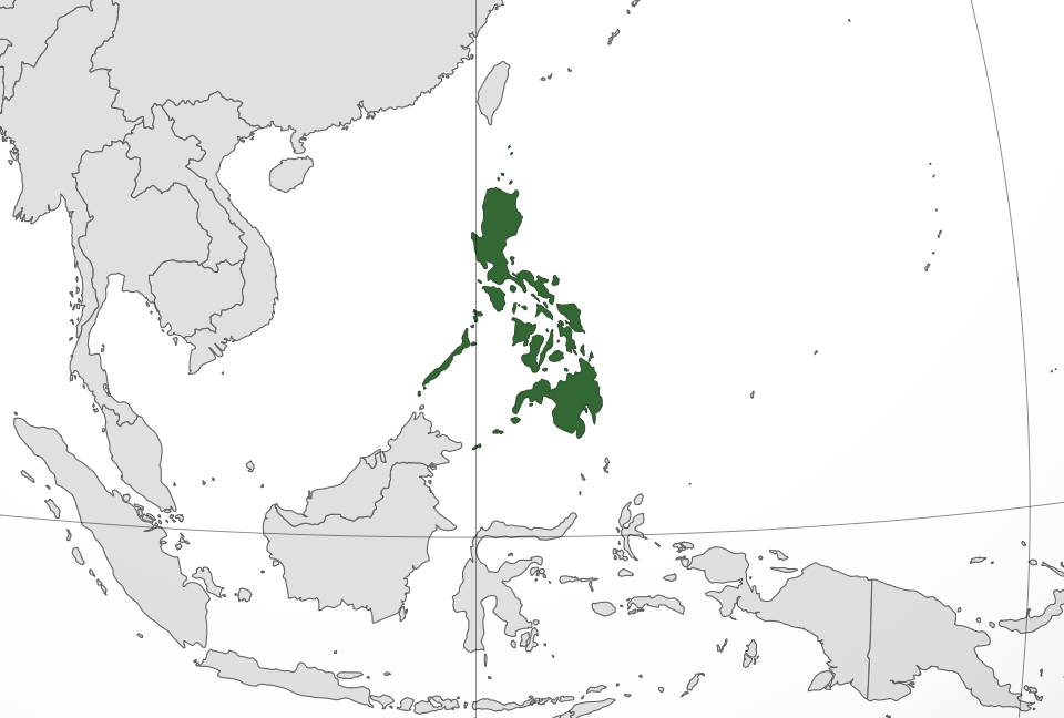 Philippines location - Crucial Facts for Foreign Entrepreneurs Eyeing the Philippines